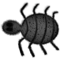 Halloween schwarz Spinne isoliert auf transparent Hintergrund png