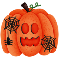 Halloween pumpkin with spider and spider web isolated on transparent background png