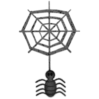 Halloween black spider and spider web isolated on transparent background png