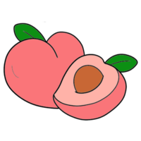 Illustration of a peach fruit png