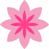 Rosa flor pétala decoração png