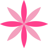 rosado flor pétalo decoración png