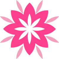 pink flower petal decoration png