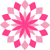 pink flower petal decoration png