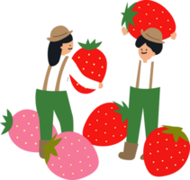 deux agriculteur tenir une fraise png