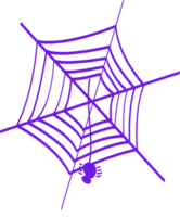 ein Spinne auf das Spinnennetz png