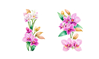 vattenfärg blomma uppsättning realistisk illustrationer för enkel och elegant brud- mönster, tapet, hälsningar, tapeter, mode, ai generativ png