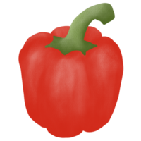 Hand drawn bell pepper drawing png