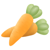 mano dibujado zanahorias dibujo png