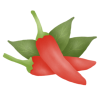 hand- getrokken peper tekening png