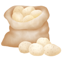 hand dragen potatis teckning png