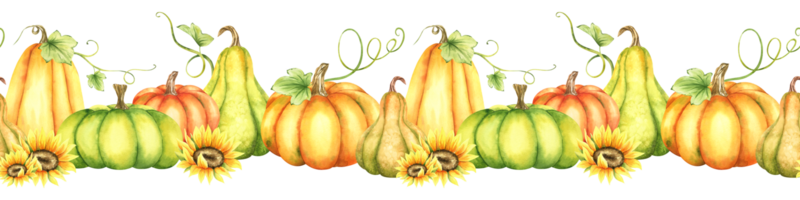 Orange and green pumpkins, sunflowers and leaves. Watercolor seamless border. Isoleted. Seasonal fall banner design for greeting, packaging or promotion. png