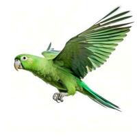 Green parrot isolated on white background. Generative AI photo