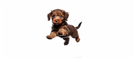 Brown puppy is jumping on white background. Generative AI photo