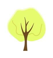 Decorative park tree semi flat colour vector object. Leaves and branches. Editable cartoon clip art icon on white background. Simple spot illustration for web graphic design