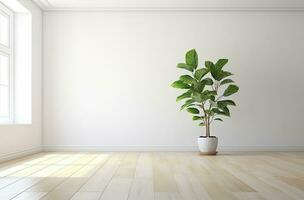 Empty white room with a wooden floor and a plant on the floor. Generative AI photo