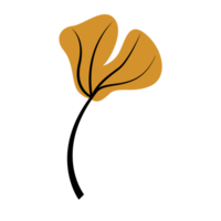 Single Autumn Ginkgo Leaf, Dry Leaves Illustration, Fall Leaves png