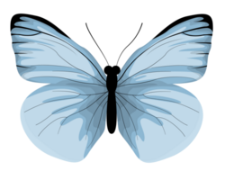 realistico blu farfalla illustrazione, blu farfalla vettore, insetto farfalla collezione png