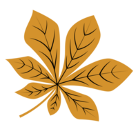 Single Autumn Chestnut Leaf, Dry Leaves Illustration, Fall Leaves png