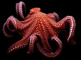 Octopus swimming in the ocean. Generative AI. photo