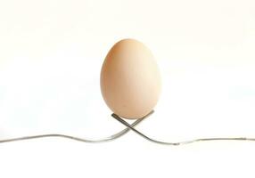 easter egg on white photo