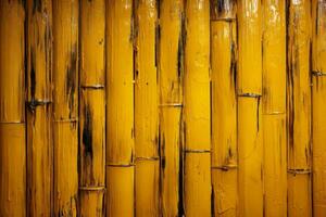 Yellow bamboo stick background photo