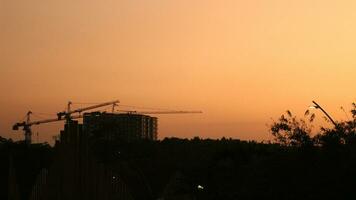 Sunset view from the street with silhouettes of trees photo