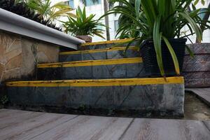 View of low stairs and plants photo