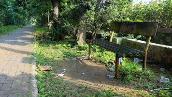 An empty bench in a beautiful garden photo