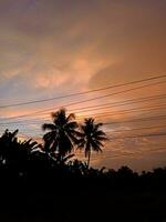 View of the beautiful orange sky and silhouettes of trees photo