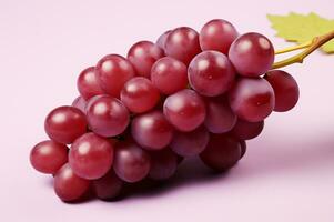Juicy grape bunch ripe and fresh photo