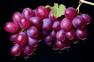 Juicy grape bunch ripe and fresh photo
