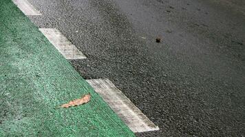 Empty roadside and sidewalk with green line photo