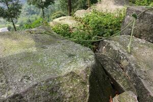 Mossy boulders on mountain with plants photo