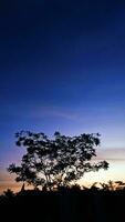 Beautiful views of blue and orange skies and tree silhouettes photo