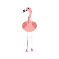 Pink Flamingo Cartoon Illustration Isolated In White Background. Summer Animal Illustration vector