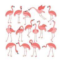 Pink Flamingo Cartoon Illustration Isolated In White Background. Summer Animal Illustration vector