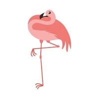 Pink Flamingo Cartoon Illustration Isolated In White Background. Summer Animal Illustration vector