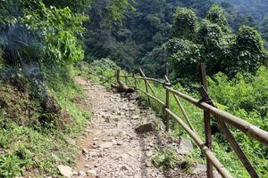 Small rocky road in mountain with trees around it photo