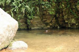 Rock wall at waterfall with plants and river photo