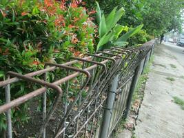 Old steel gate photo