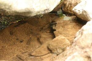 Big brown rock by the side of the waterfall photo