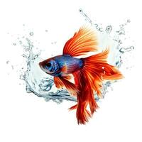 Betta in water splash. AI generetive photo