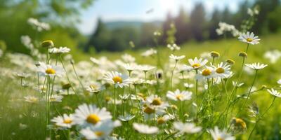 hermosa cosmos flor campo. generativo ai foto