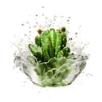 cactus in water splash isolated on white background. AI generetive photo