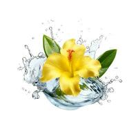 Yellow flower in water splash isolated on white background. AI generetive photo