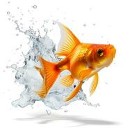 Gold fish in water splash on white background. AI generetive photo