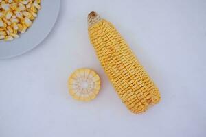 Corn on the cob and corn kernels on a white plate on a white background photo