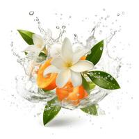 White flowers in water splash. AI generetive photo