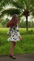 Vertikale Video Brünette posiert im ein Kleid gegen das Hintergrund von Palme Bäume